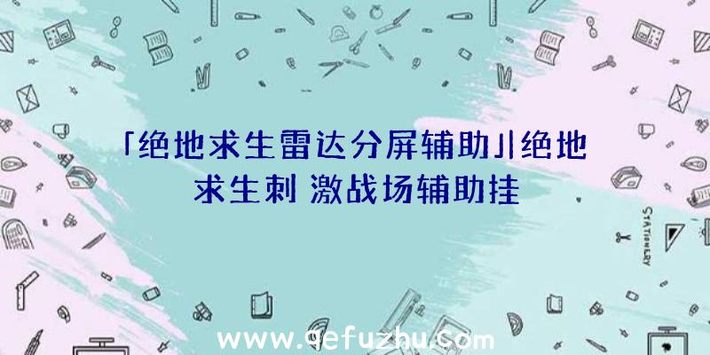 「绝地求生雷达分屏辅助」|绝地求生刺
